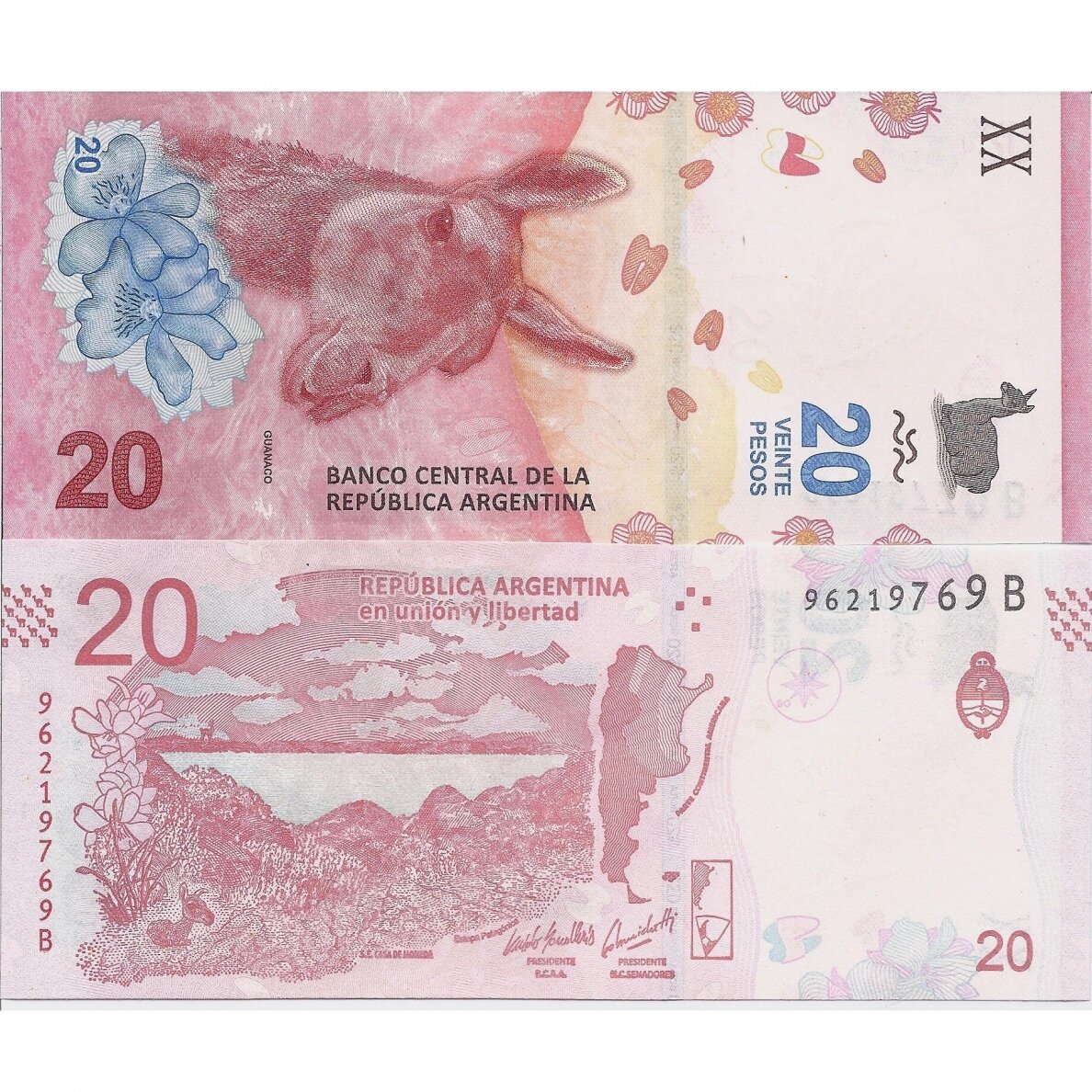 ARGENTINA 20 PESOS 2019 - 2020 (ND) P # 361 UNC