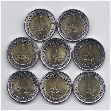 EGIPTAS 8 X 1 POUND 2019 m. monetų rinkinys 1