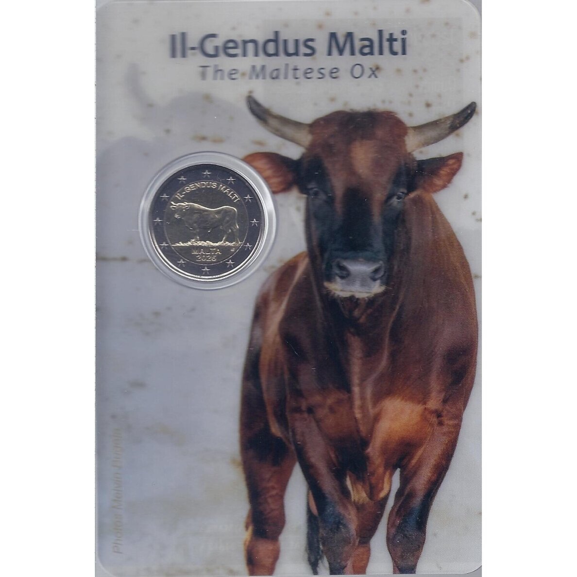 MALTA 2 EURO 2025 THE MALTESE OX (COINCARD) 1